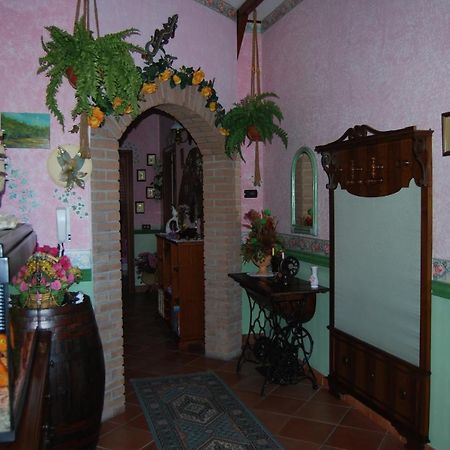 Bed and Breakfast Sette Nani Elmas Zewnętrze zdjęcie