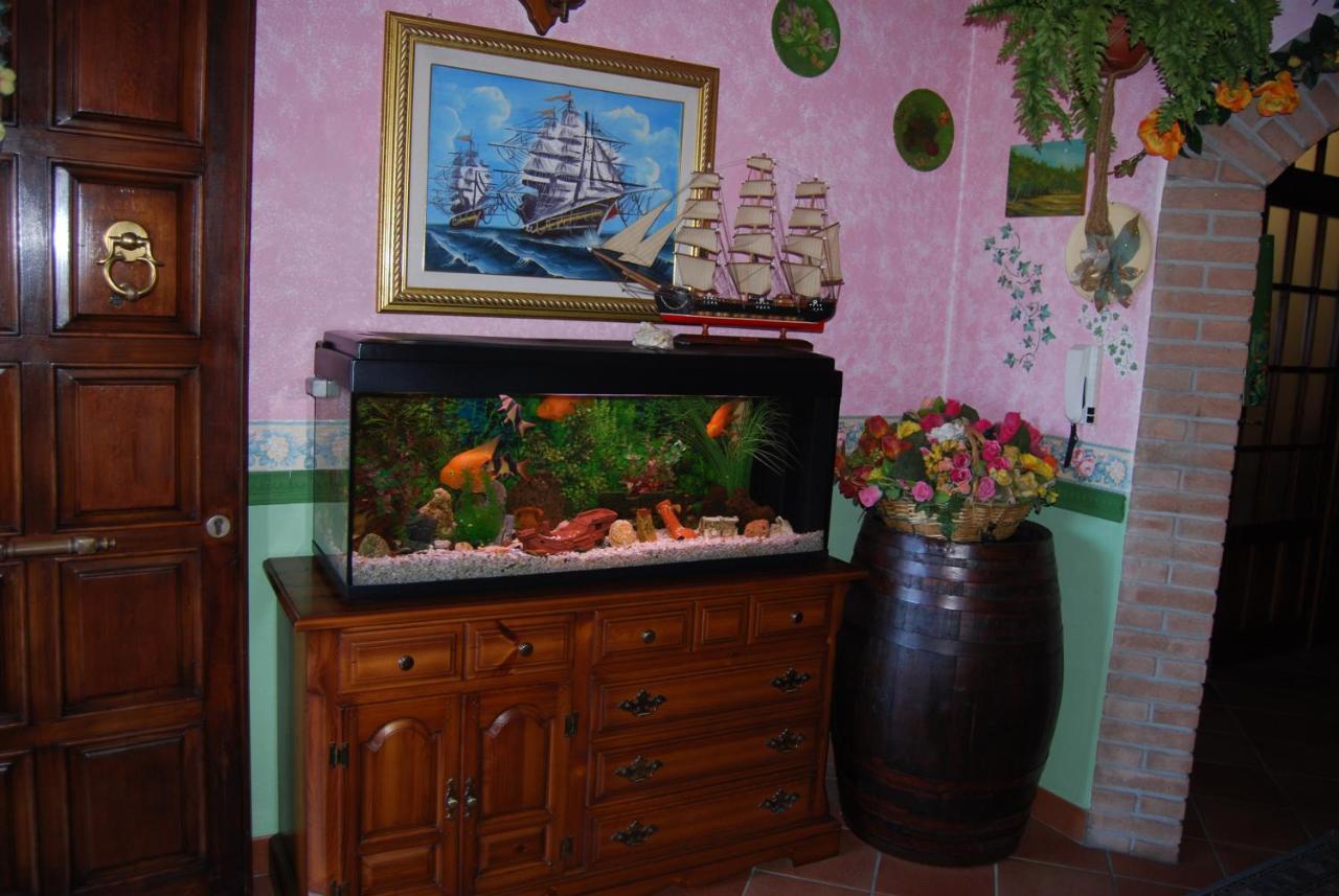 Bed and Breakfast Sette Nani Elmas Zewnętrze zdjęcie